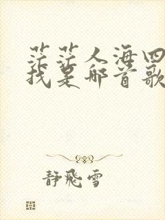 茫茫人海四处寻找是哪首歌的歌词
