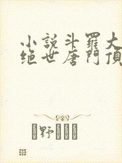 小说斗罗大陆2绝世唐门顶点