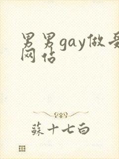 男男gay做受网站