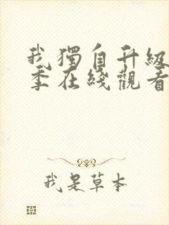 我独自升级第二季在线观看动漫