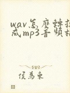 wav怎么转换成mp3音频格式