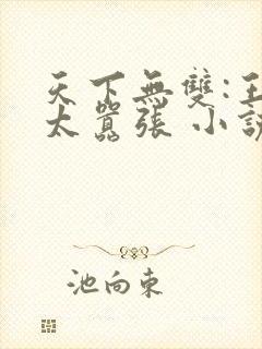 天下无双:王妃太嚣张 小说封面