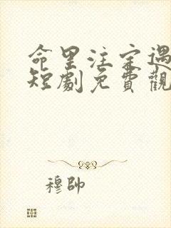 命里注定遇见你短剧免费观看封面