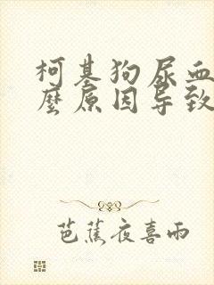 柯基狗尿血是什么原因导致的呢