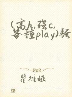 (高h,强c,各种play)骚话小说