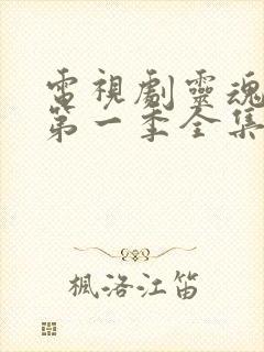 电视剧灵魂摆渡第一季全集免费播放