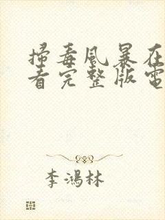 扫毒风暴在线观看完整版电视剧星辰影