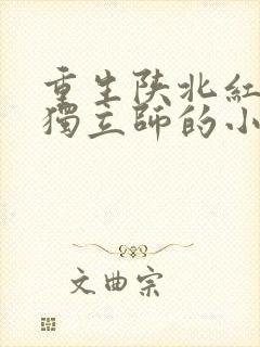 重生陕北红军,独立师的小说