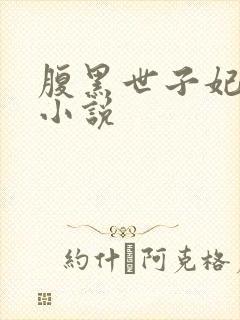 腹黑世子妃日常小说