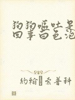 狗狗呕吐是怎么回事白色泡沫