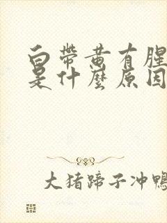 白带黄有腥臭味是什么原因造成的