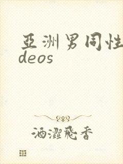 亚洲男同性videos封面