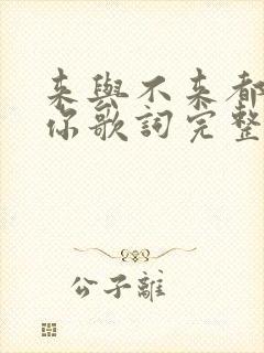 来与不来都在等你歌词完整版