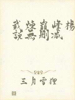 武炼巅峰杨开小说无删减