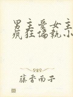 男主爱女主爱到疯狂偏执小说封面