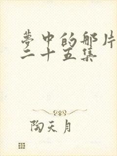 梦中的那片海第二十五集