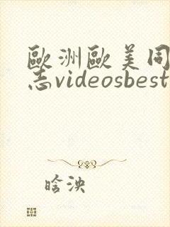 欧洲欧美同性同志videosbest封面