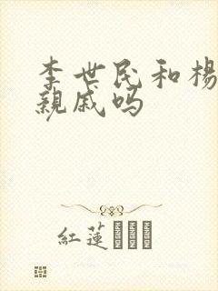 李世民和杨广是亲戚吗