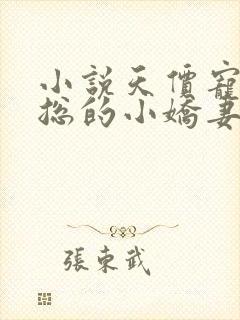 小说天价宠妻霍总的小娇妻