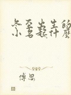 冬至出生的男孩小名起什么