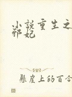 小说重生之逆天邪妃