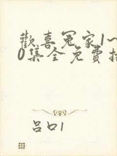 欢喜冤家1~40集全免费播放封面