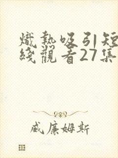 炽热吸引短剧在线观看27集