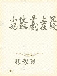 小伙爱上兄弟妈妈韩剧在线观看免费