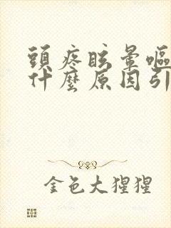 头疼眩晕呕吐是什么原因引起的