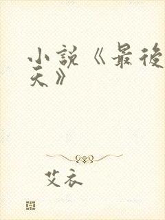 小说《最后一百天》