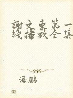 谢文东第一季在线播放全集免费观看封面