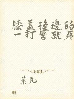 膝盖后边的腿窝一打弯就疼吃什么药