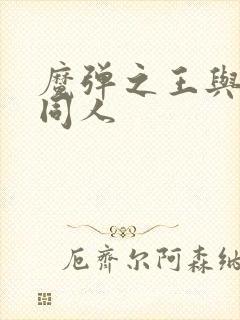 魔弹之王与战姬同人