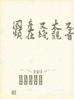 国产又大又黄视频在线观看