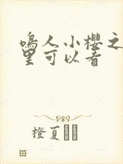 鸣人小樱之夜哪里可以看