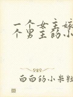 一个女主嫁给多个男主的小说