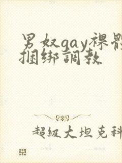 男奴gay裸体捆绑调教