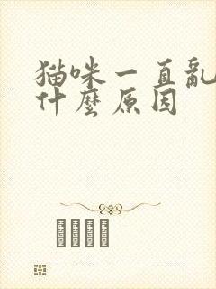 猫咪一直乱尿是什么原因