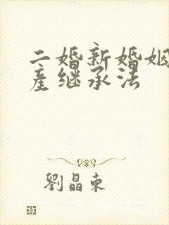 二婚新婚姻法遗产继承法