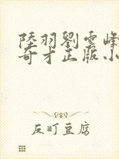 陆羽刘云峰鸿途奇才正版小说