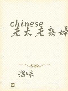 chinese老太老熟妇hd