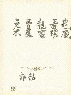 免费观看我怕来不及电视剧封面