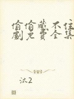 偷偷藏不住电视剧免费全集