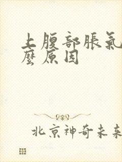 上腹部胀气是什么原因