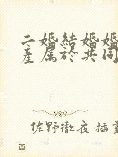 二婚结婚婚前财产属于共同财产吗封面