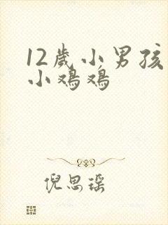 12岁小男孩的小鸡鸡