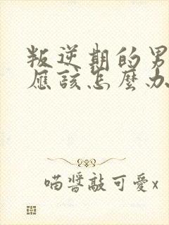 叛逆期的男孩子应该怎么办封面