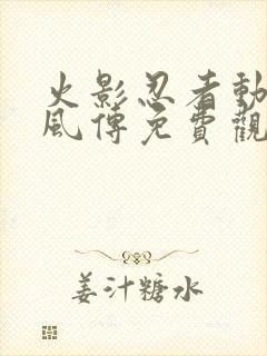 火影忍者动漫疾风传免费观看