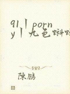 91丨porny丨九色蝌蚪