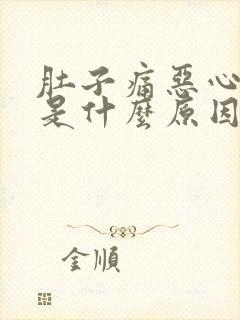 肚子痛恶心想吐是什么原因引起的